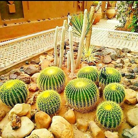 Riad Dar Sofian ザゴラ エクステリア 写真