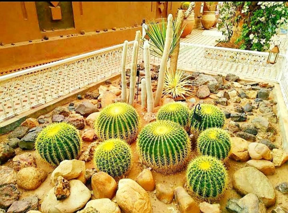 Riad Dar Sofian ザゴラ エクステリア 写真