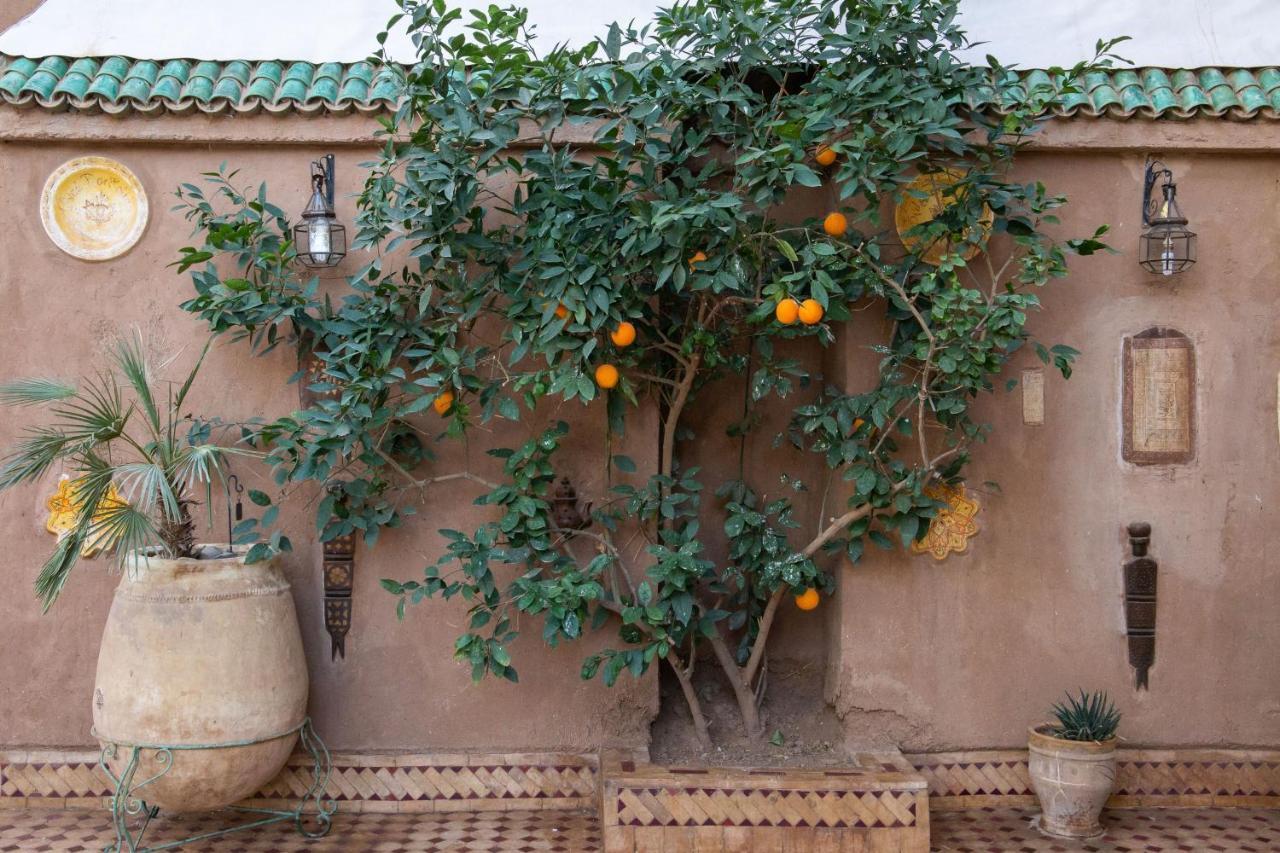 Riad Dar Sofian ザゴラ エクステリア 写真